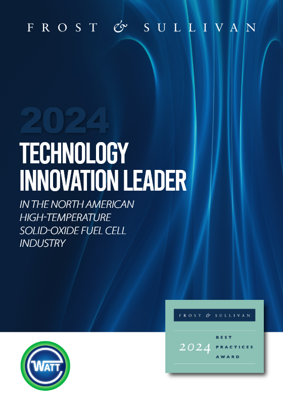 Frost & Sullivan 2024 North America Technology Innovation Leadership Award
